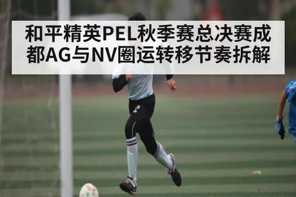 和平精英PEL秋季赛总决赛成都AG与NV圈运转移节奏拆解